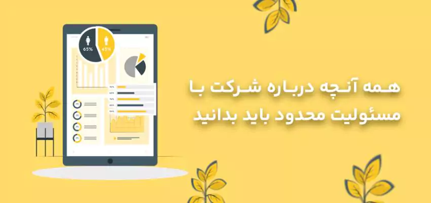 هر آنچه درباره شرکت با مسئولیت محدود باید بدانید؟