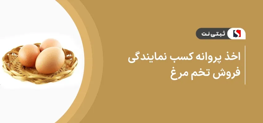 اخذ پروانه کسب نمایندگی فروش تخم مرغ